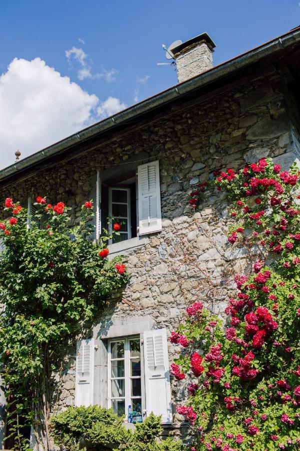 Hotel Mas De La Coutettaz, The Farmhouse Morzine Dış mekan fotoğraf